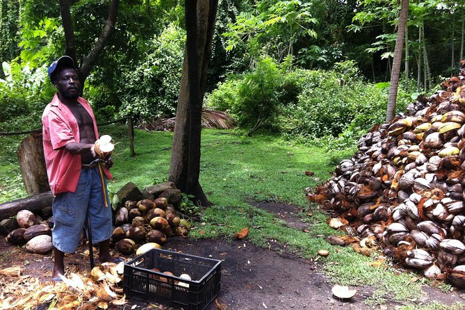 Historical 18th Century Estate Tour with Coconut Tasting - Views, photographs and the pace of the walk