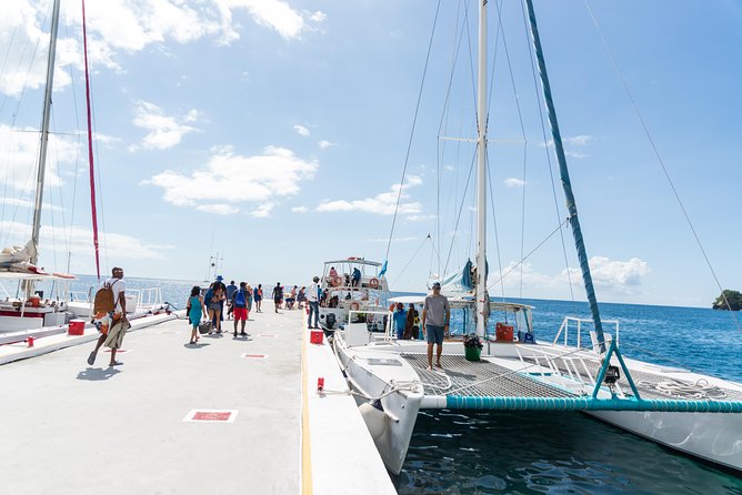 Hop & Drop Soufriere Transfer - Snorkeling After Soufriere