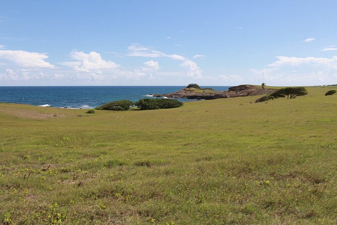 Horseback Riding Adventure Tour in St. Lucia - Guides who focus on comfort
