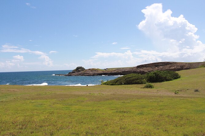 Horseback Riding Adventure Tour in St. Lucia - Drinks, snacks, and included transfers
