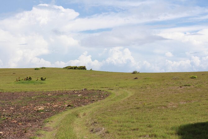 Horseback Riding Adventure Tour in St. Lucia - Timing, planning, and cancellation