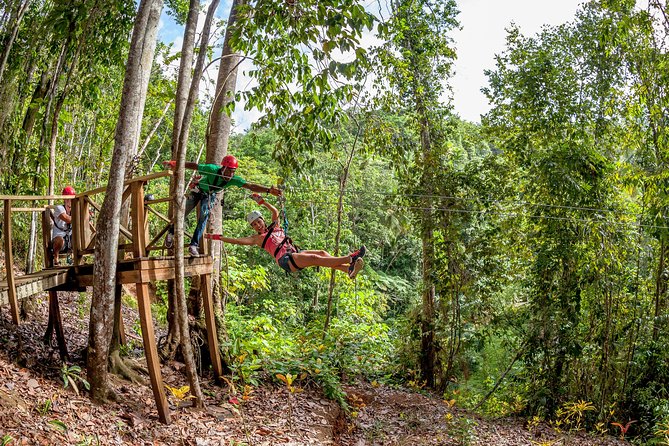 Jeep & Zip Safari St. Lucia From Castries - Hiking to Errand Falls