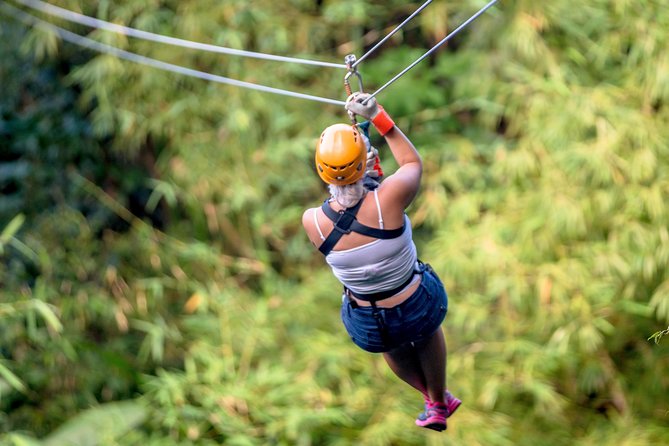 Jeep & Zip Safari St. Lucia From Castries - Island appetizers and fruit picked along the way