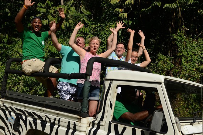 Jeep & Zip Safari St. Lucia From Castries - One hour at Treetop Adventure Park