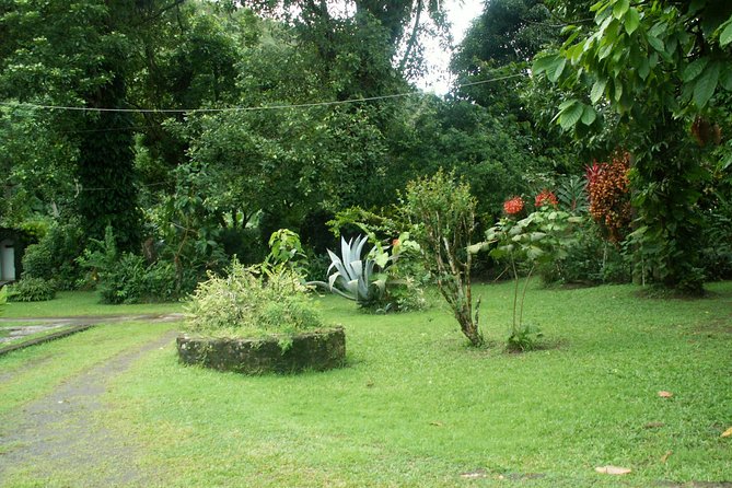 Magical Soufriere: A Tour of St Lucia - Diamond Falls and the botanical gardens