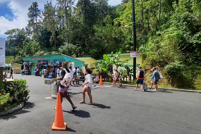 Mud bath and Waterfall with Snorkeling at Sugar beach - Toraille Waterfall and a fast rainforest rinse