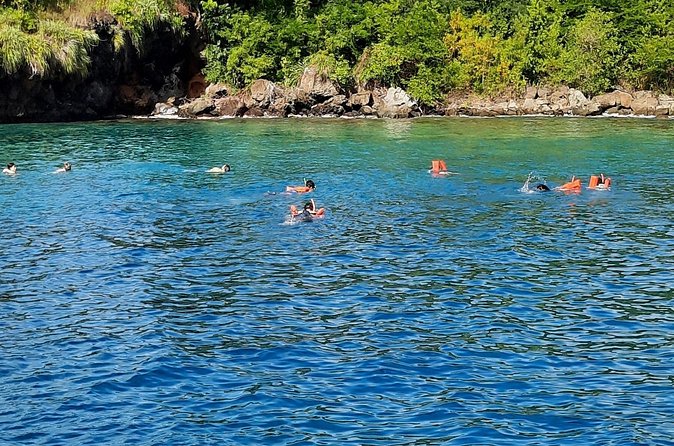 Mud bath and Waterfall with Snorkeling at Sugar beach - Useful planning details before you go
