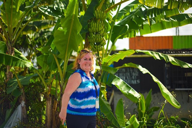 Mudbaths, Waterfall & Botanical Gardens Tour - All Inclusive - A Private Vehicle Makes a Big Difference