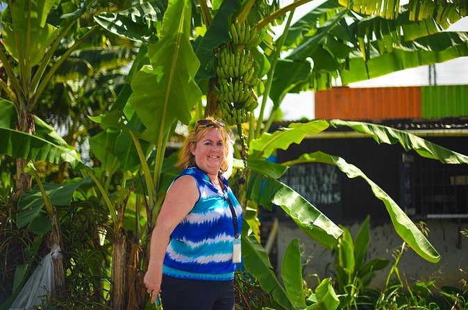 Mudbaths, Waterfall & Botanical Gardens Tour - All Inclusive - Who Will Enjoy This Tour Most