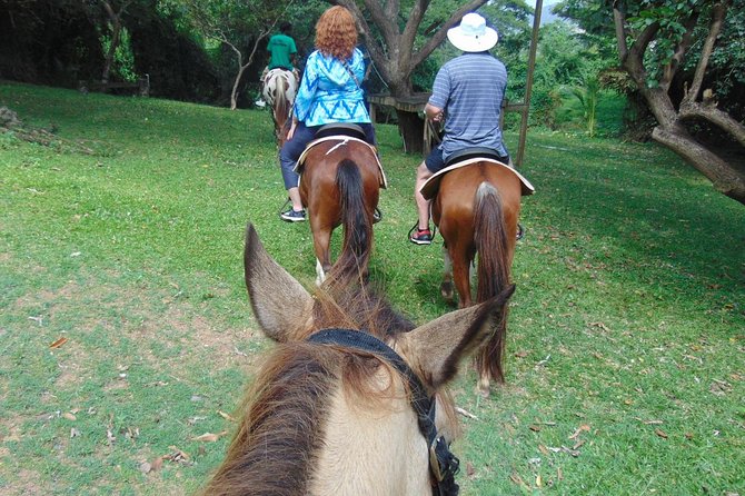 Nature & Historical Horseback Riding Tours St. Lucia - The return ride is part of the adventure