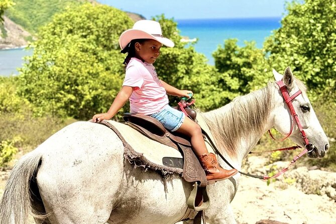 Nature & Historical Horseback Riding Tours St. Lucia - Meeting the horses and choosing your pace