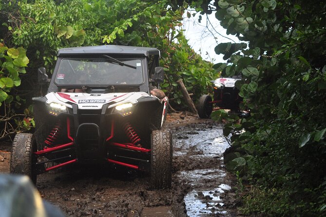 Northern Sights - Buggy in the North - What the Northern Sights buggy tour feels like