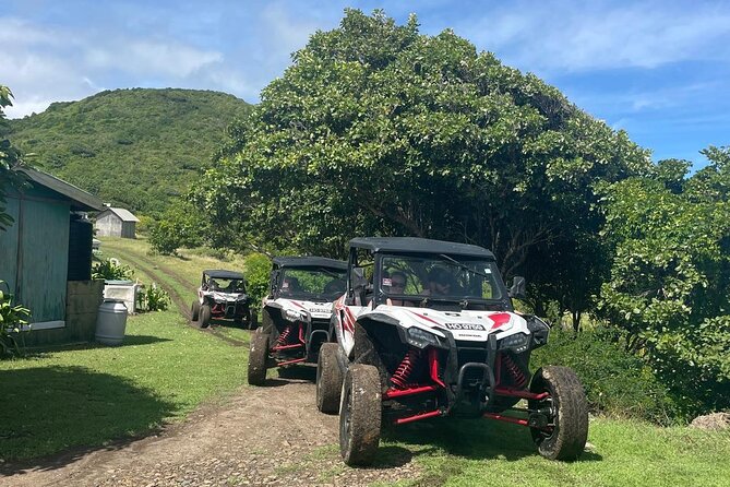Northern Sights - Buggy in the North - Is $153.85 per person fair value?