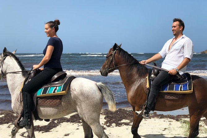 Private Advanced Horseback Beach Ride with Sandy Hoofs St. Lucia - From Beausejour to the Atlantic coast