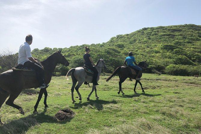 Private Advanced Horseback Beach Ride with Sandy Hoofs St. Lucia - Why the northeast coast makes a strong riding setting