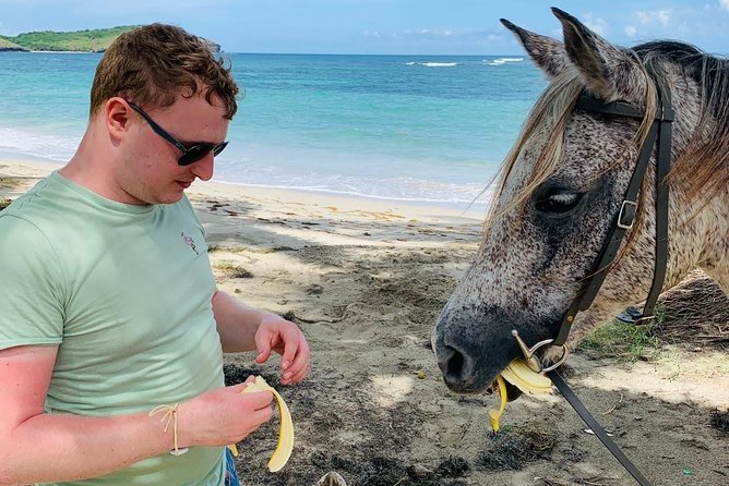 Private Beach Horseback Ride with Sandy Hoofs St. Lucia - What the two-hour length really gives you