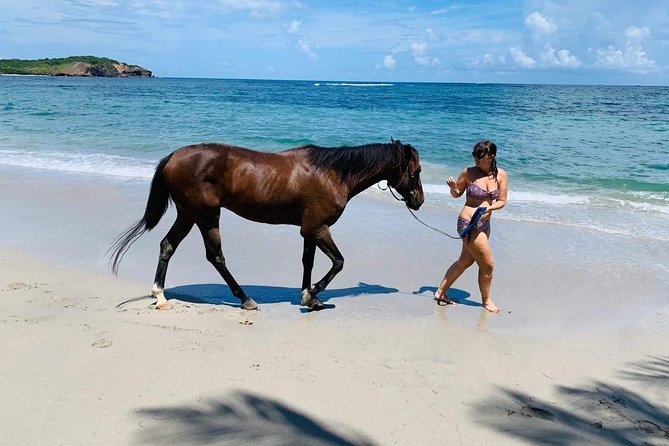 Private Beach Horseback Ride with Sandy Hoofs St. Lucia - What to wear and what to bring
