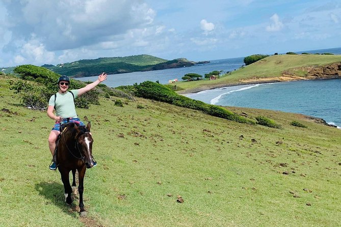 Private Beach Horseback Ride with Sandy Hoofs St. Lucia - Meeting the horses and finding your pace