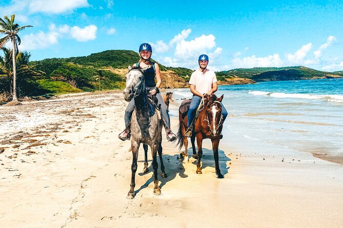 Private Beach Picnic Horseback Ride with Sandy Hoofs St. Lucia - Key things to know before booking