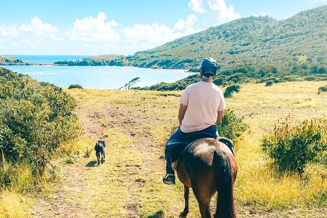 Private Beach Picnic Horseback Ride with Sandy Hoofs St. Lucia - Who will enjoy this ride most