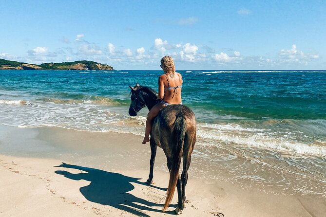 Private Beach Picnic Horseback Ride with Sandy Hoofs St. Lucia - The trail toward Epouge Bay