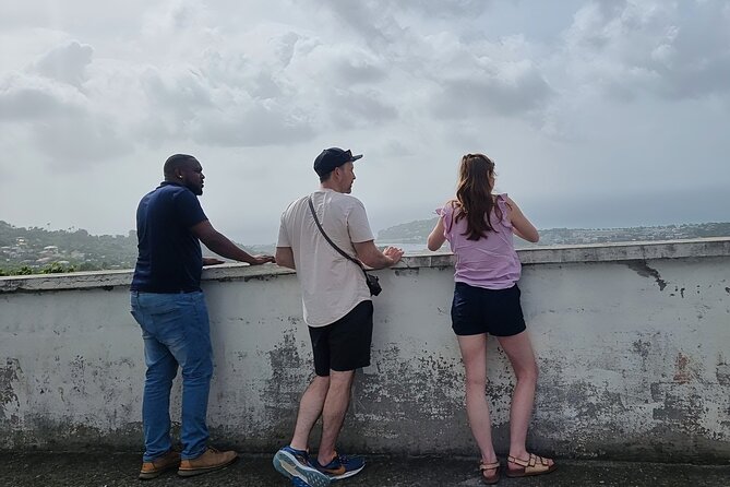 Private Best of St Lucia Mud Bath & Toraille Waterfall Excursion - Soufriere, the Pitons, and the volcanic south