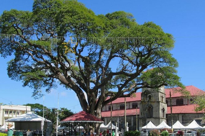 Private Castries or Shopping Tour/Transfers - Shopping help beyond a quick taxi ride