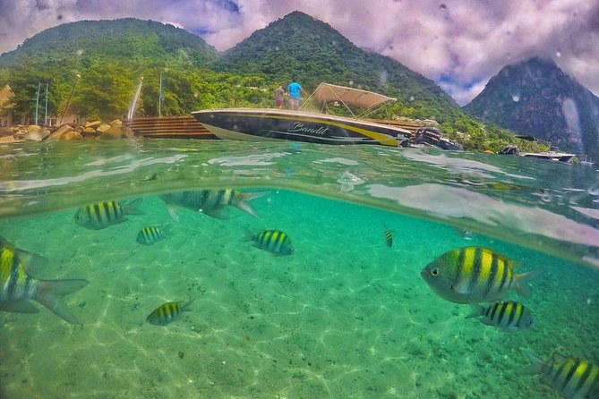 Private Custom Coastal Cruise St. Lucia Half Day - Marigot Bay and the return run