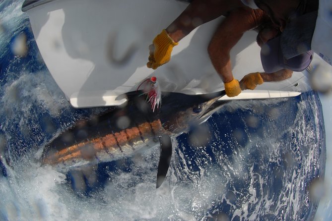 Private Fishing in St Lucia Charters - Cruise passengers need a careful plan