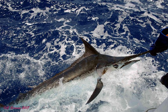 Private Fishing in St Lucia Charters - What past catches can and cannot tell you