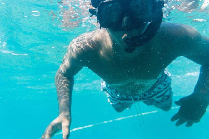 Private Half Day Catamaran Charter - What the four-hour schedule feels like