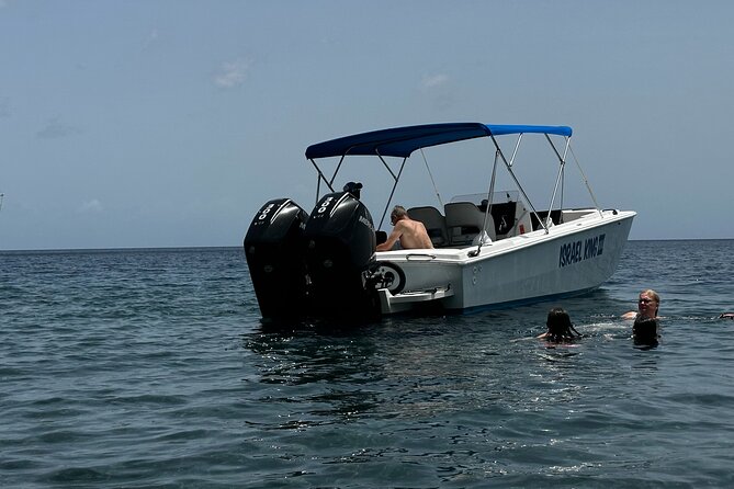 Private Half Day Charter: St Lucia Boat Tour to Soufriere - Drinks, snorkeling gear, and the local lunch question