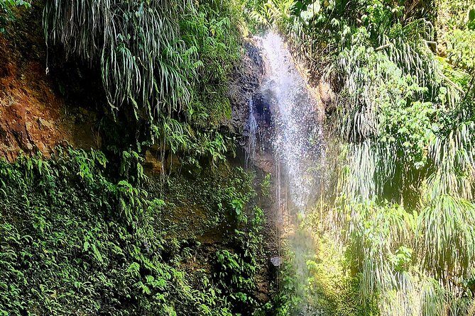 Private La Soufriere Drive-In Volcano Minibus Tour St Lucia - Timing, comfort, and practical details