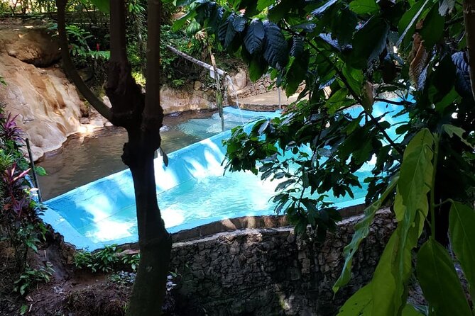 Private Saint Lucia Your Way Customize Tour- LUNCH INCLUDED - Rum, bananas, chocolate, gardens, and shopping
