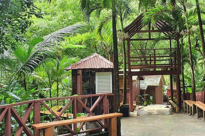 Private Tour of Sulphur Spring and Toraile Waterfall in Soufriere - Toraille Waterfall and its cool natural pool