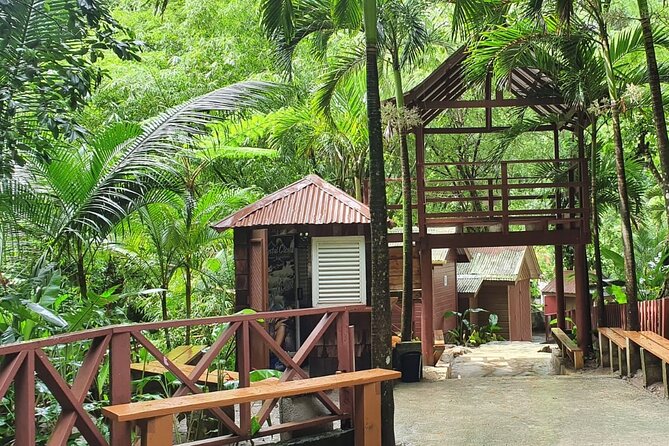Private Tour of Sulphur Spring and Toraile Waterfall in Soufriere - What Augustus adds to the day