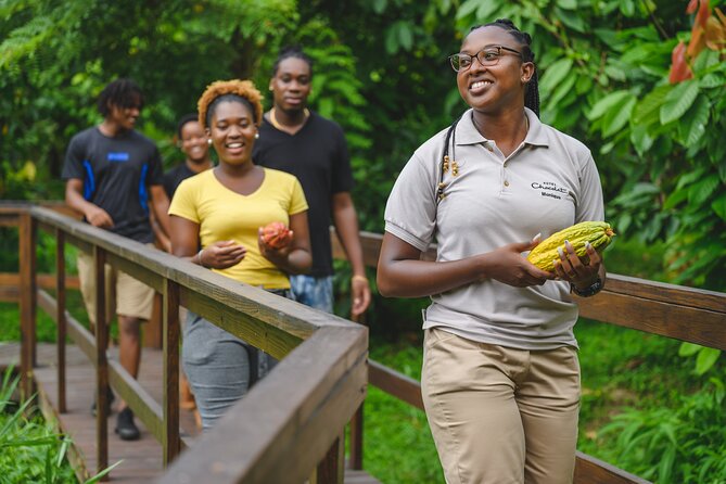 Project Chocolat Tree to Bar Tour at Hotel Chocolat Saint Lucia - Price, timing, and the transport question