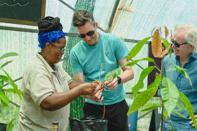 Project Chocolat Tree to Bar Tour at Hotel Chocolat Saint Lucia - Who will enjoy this most