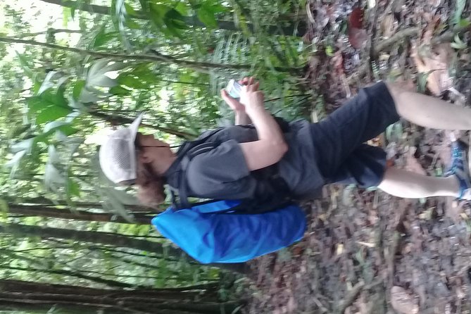 Rain forest and Bird watching - A waterfall or Marigot Bay beach swim