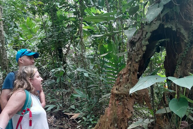 Rain forest and Bird watching - East-coast stops that widen the picture
