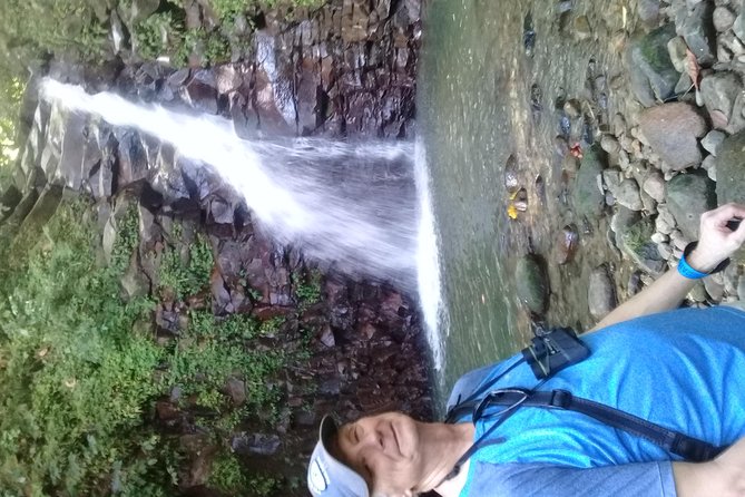 Rain forest and Bird watching - Weather, noise, and realistic birding expectations