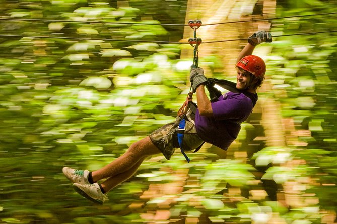 Rainforest Canopy Adventure from Vieux Fort or North Island, St Lucia - Looking at the rainforest from above