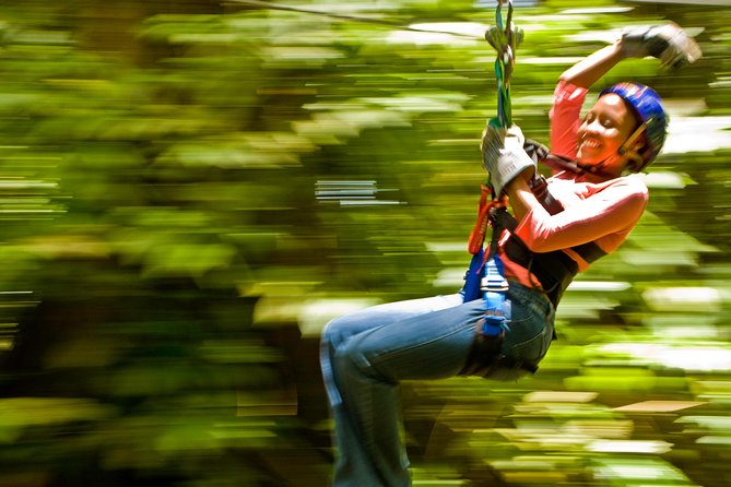 Rainforest Canopy Adventure from Vieux Fort or North Island, St Lucia - What the 500 feet of zipline feels like