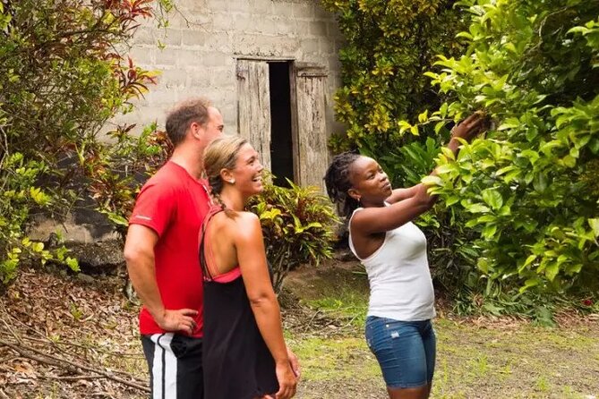 Rainforest Cycling Adventure in St. Lucia - The return ride and final photo stop