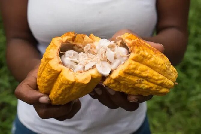 Rainforest Cycling Adventure in St. Lucia - What the price includes, and what it does not