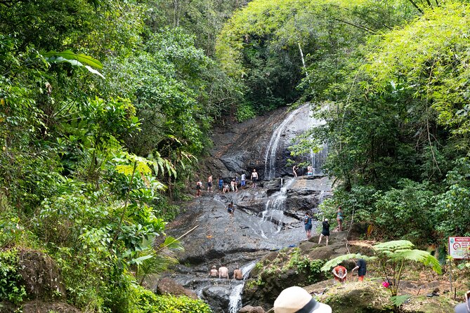 Rainforest Hike and Waterfall Safari - The hike to Venus Estate Waterfall