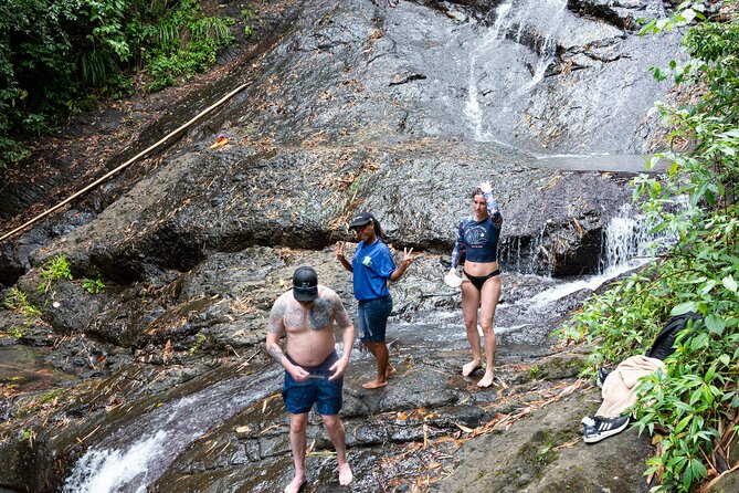 Rainforest Hike and Waterfall Safari - Is the $66.67 price good value?