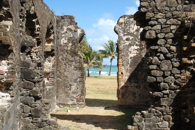 Rediut Beach OR Pigeon Island Beach Break Cruise Ship only Groups - Who Will Get the Most from This Outing?