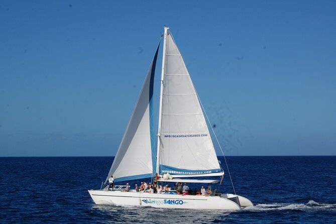 Rodney Bay to Soufriere Catamaran Transfer - Fishing and snorkeling details need a clear answer