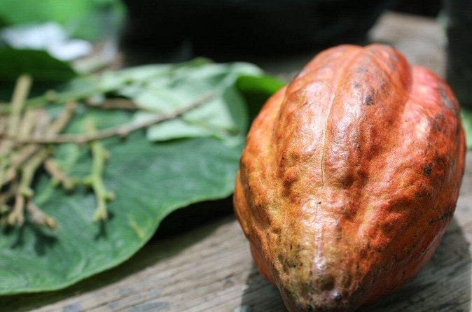 Rum & Chocolate Tasting Tour : Journey into Flavor - The Value of $175 Per Person